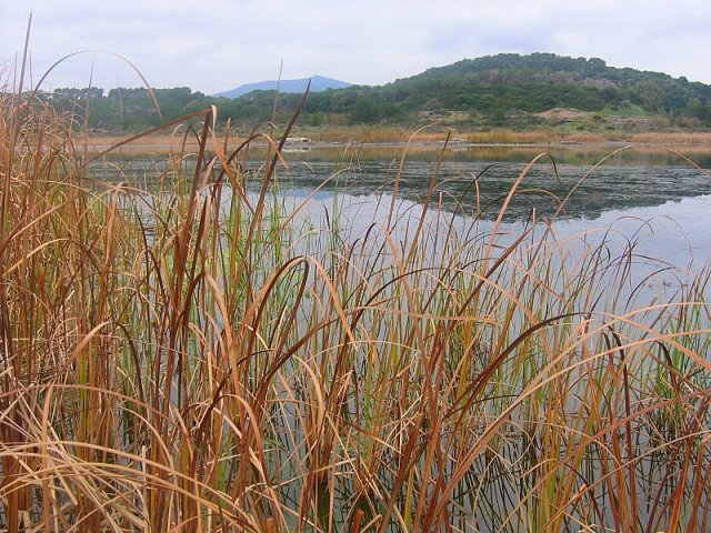 Laghi .....della SARDEGNA